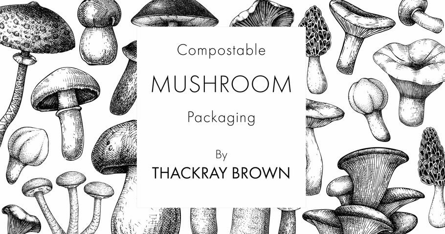 The Real Magic of Mushrooms: Mycelium Packaging