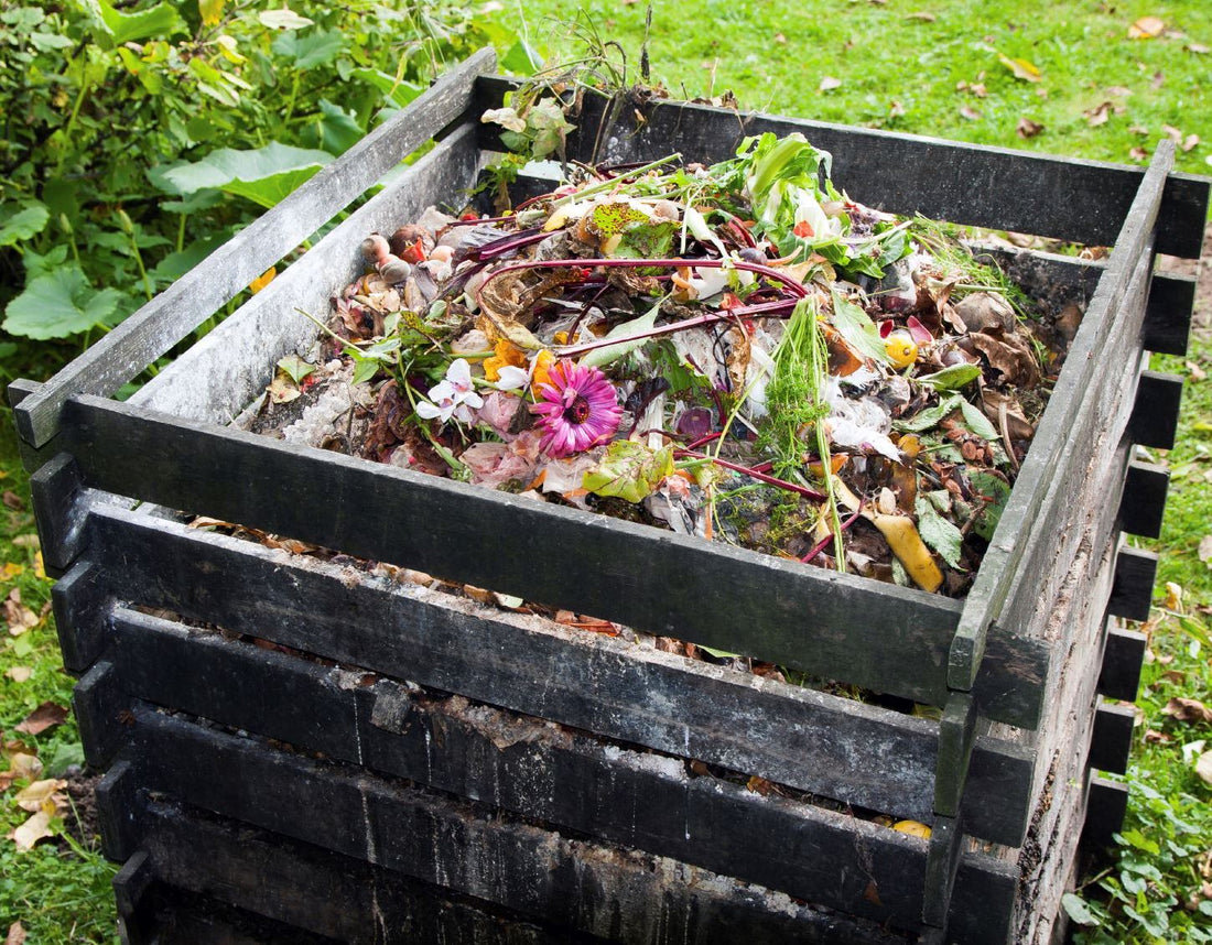 Do you know the difference between Biodegradable & Compostable?