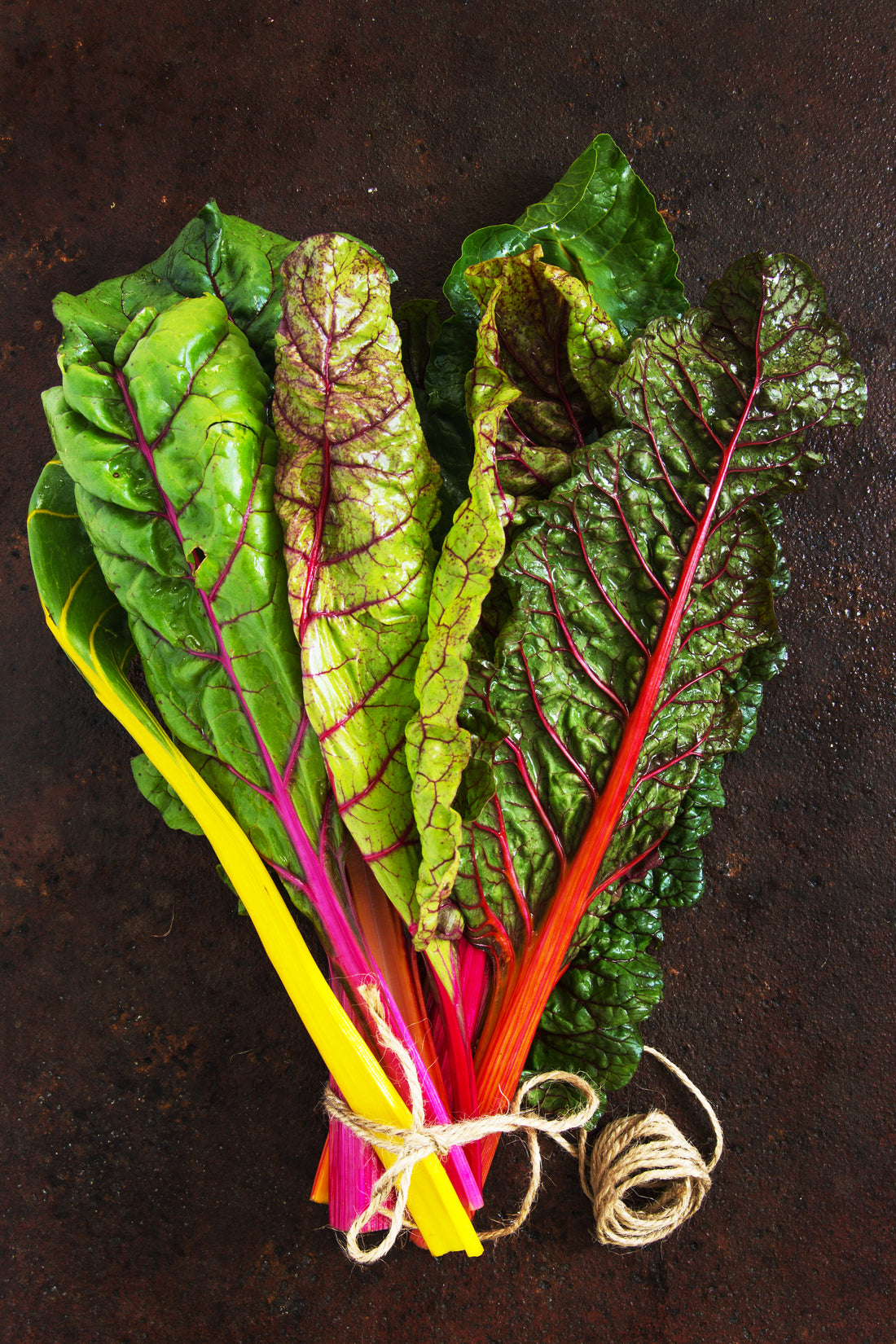 Surprising facts about what you can & can't compost at home.