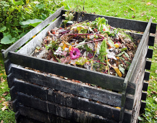 Do you know the difference between Biodegradable & Compostable?